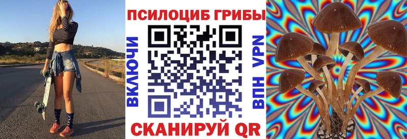 Псилоцибиновые грибы GOLDEN TEACHER  Купить закладки  Княгинино 